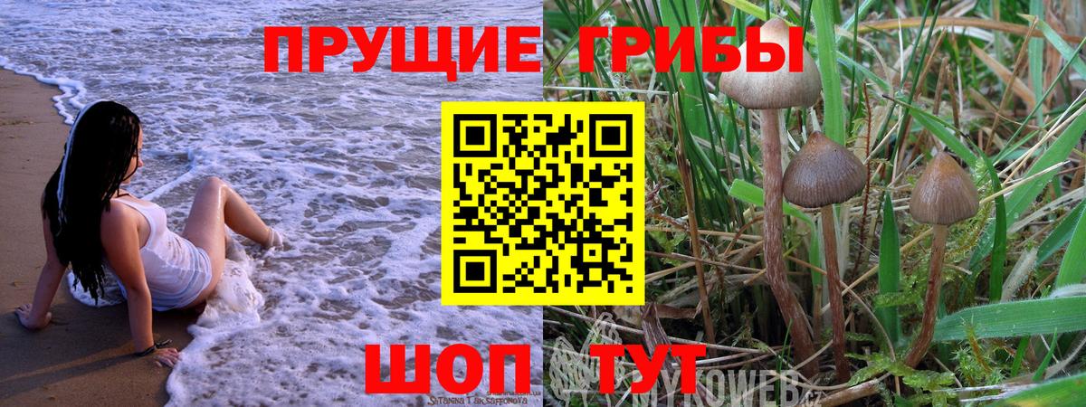 Псилоцибиновые грибы MAGIC MUSHROOMS  Галлюциногенные грибы прущие грибы  Вход с VPN  Вологда 