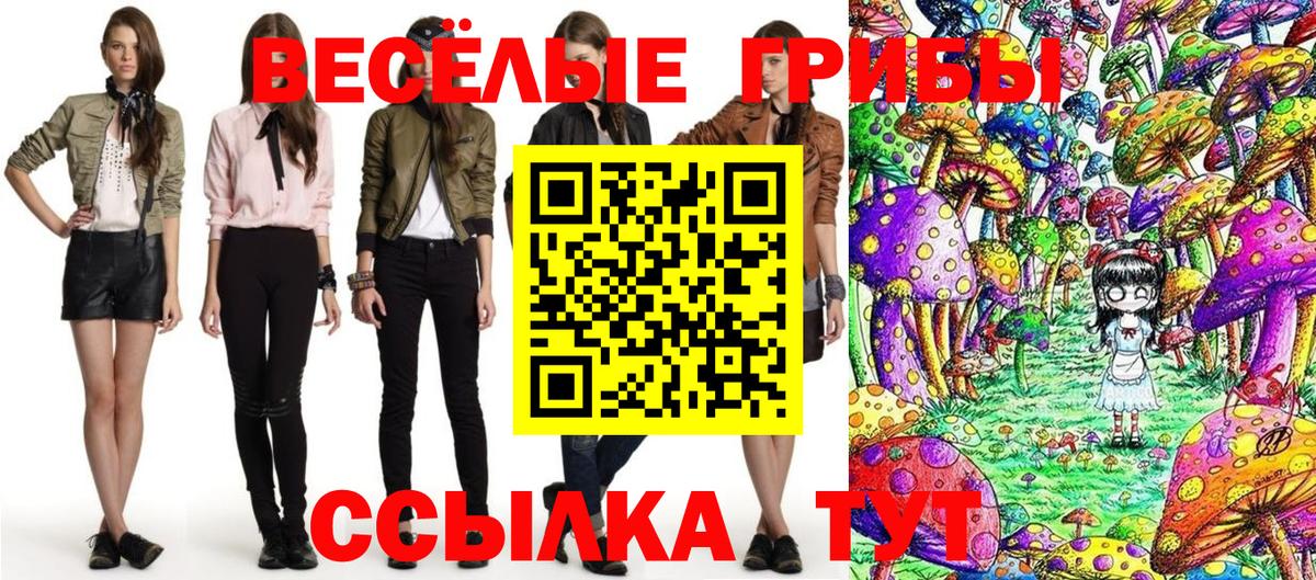 Галлюциногенные грибы Psilocybine cubensis Вологда